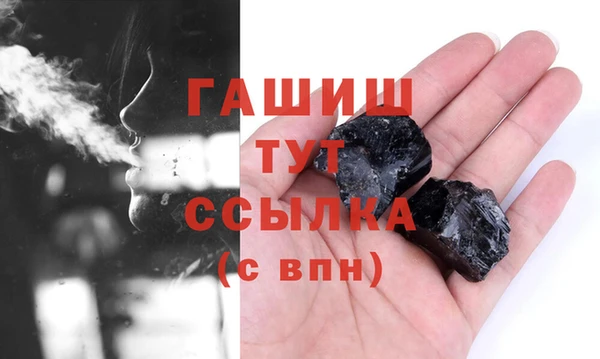 стаф Алзамай