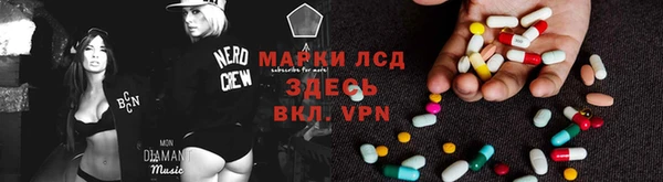 стаф Алзамай
