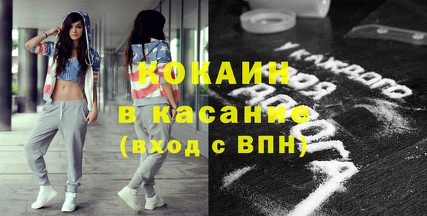 стаф Алзамай
