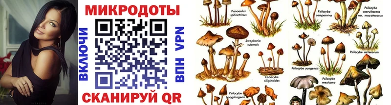 Псилоцибиновые грибы GOLDEN TEACHER  Волоколамск 