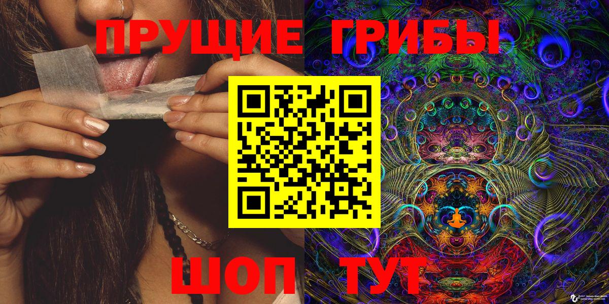 Волоколамск  Галлюциногенные грибы мухоморы  Вход с VPN 