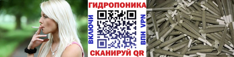 shop клад  ссылка на мегу ССЫЛКА  Канабис план  Волоколамск  купить  цена 